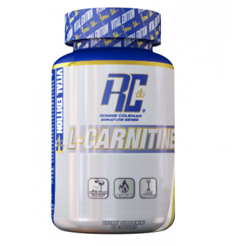 l-carnitine thyroid function The Role of l-Carnitine in Mitochondria, Prevention of Metabolic  Inflexibility and Disease Initiation